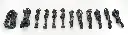 Elite Gold Series Item - 02.webp