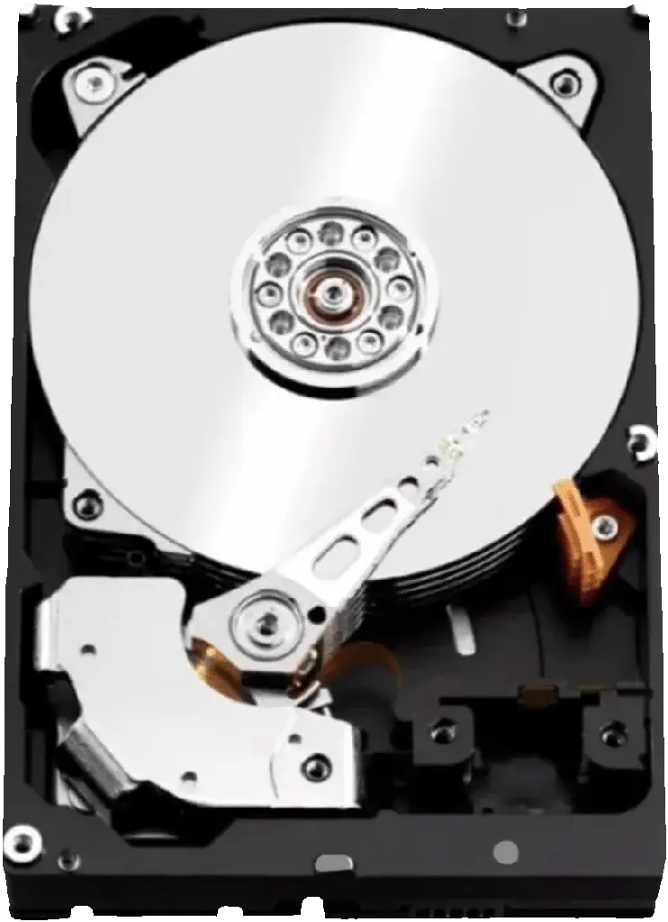 WD8005FFBX 2.webp