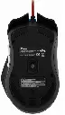 XTM-610 5.webp