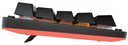 7506215944113 4.webp