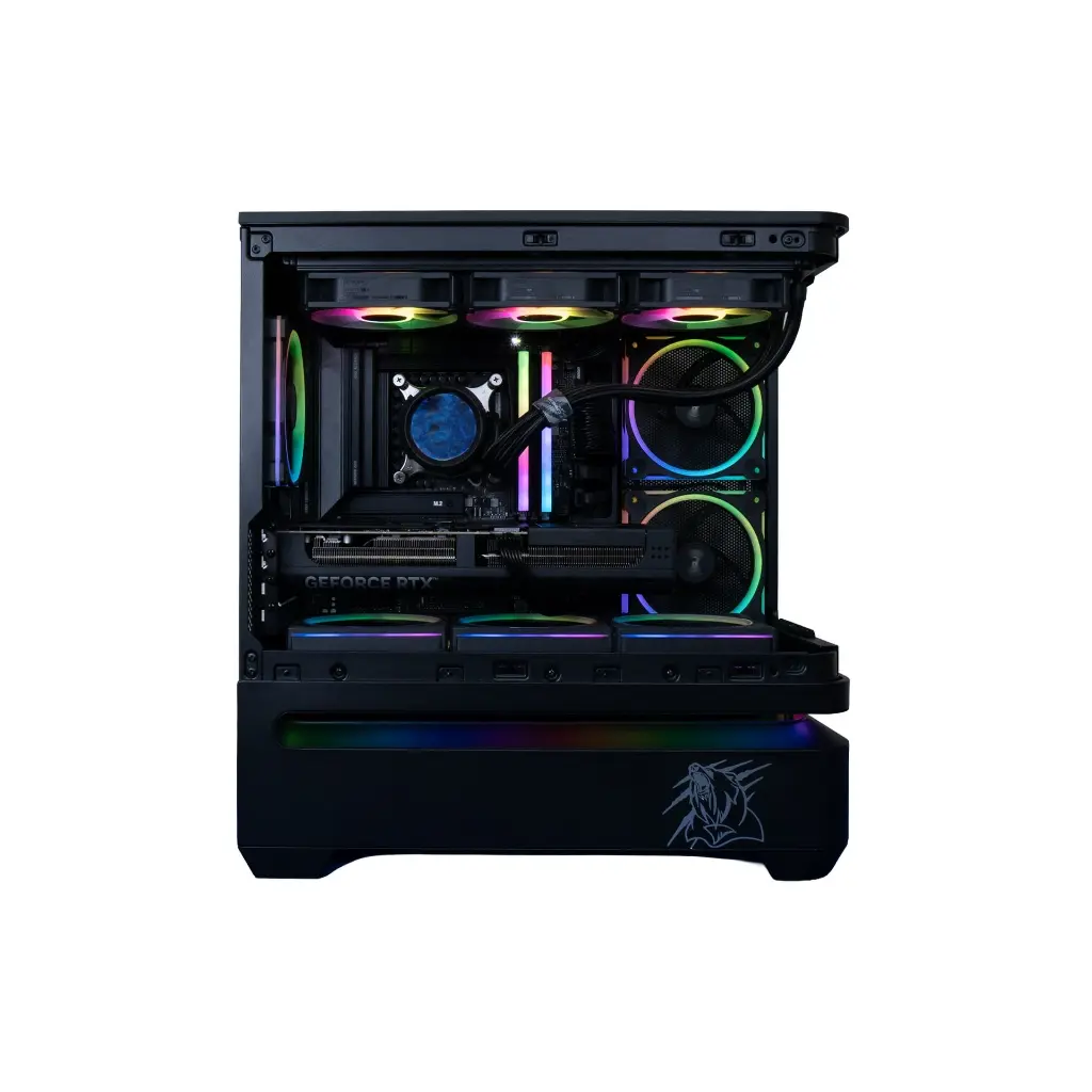 v1 copia.webp