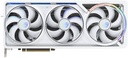 h732 (24).webp