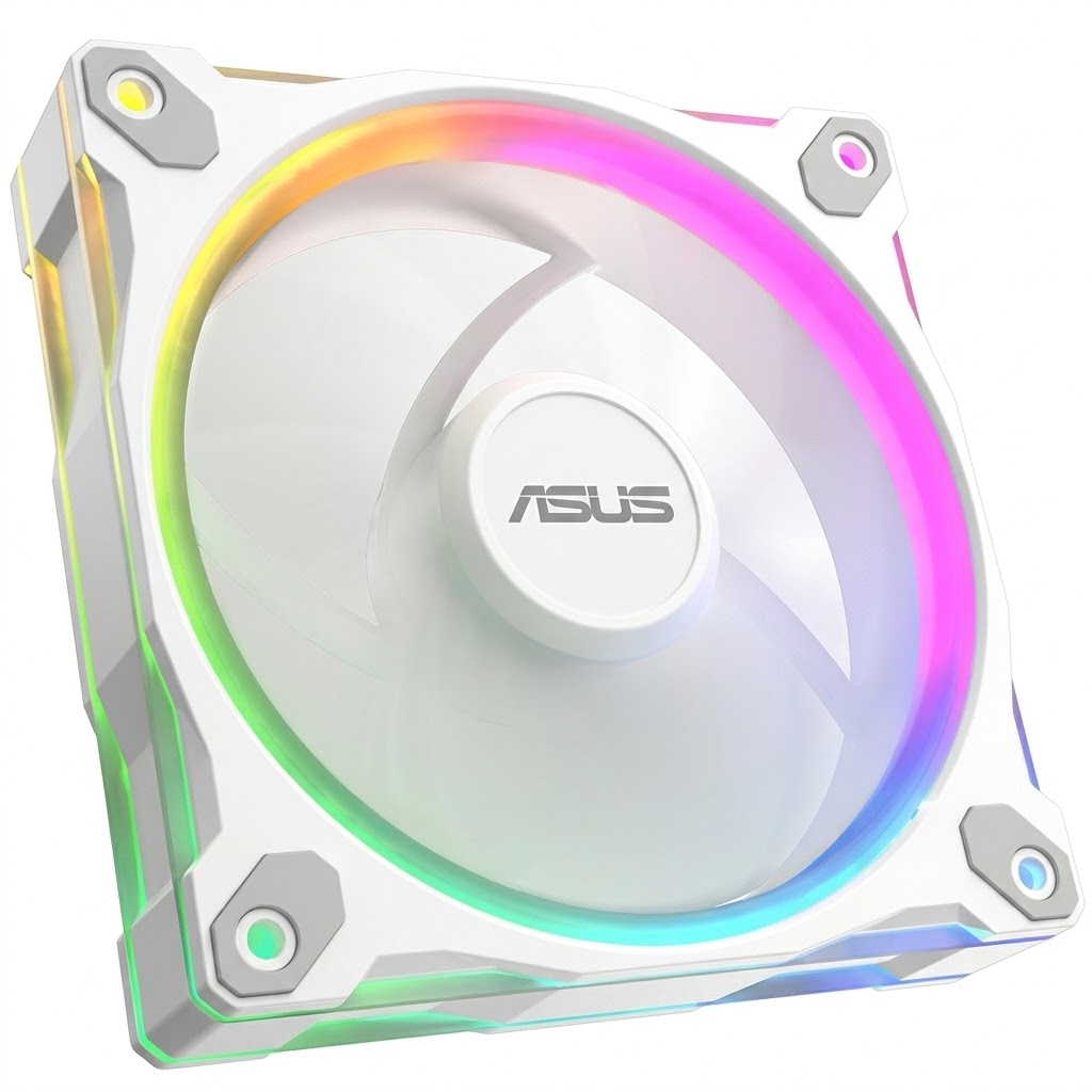 fwebp (3).webp