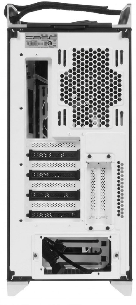 fwebp (19).webp